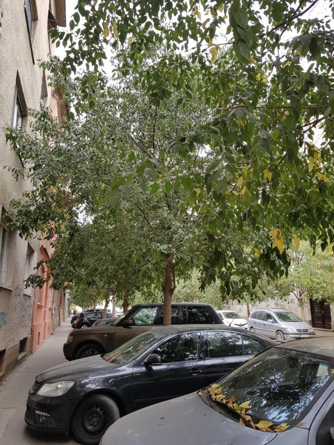 Mia Apartment Нови-Сад Экстерьер фото